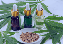 Oregon Active Medical Marijuana Patients in 2025.png